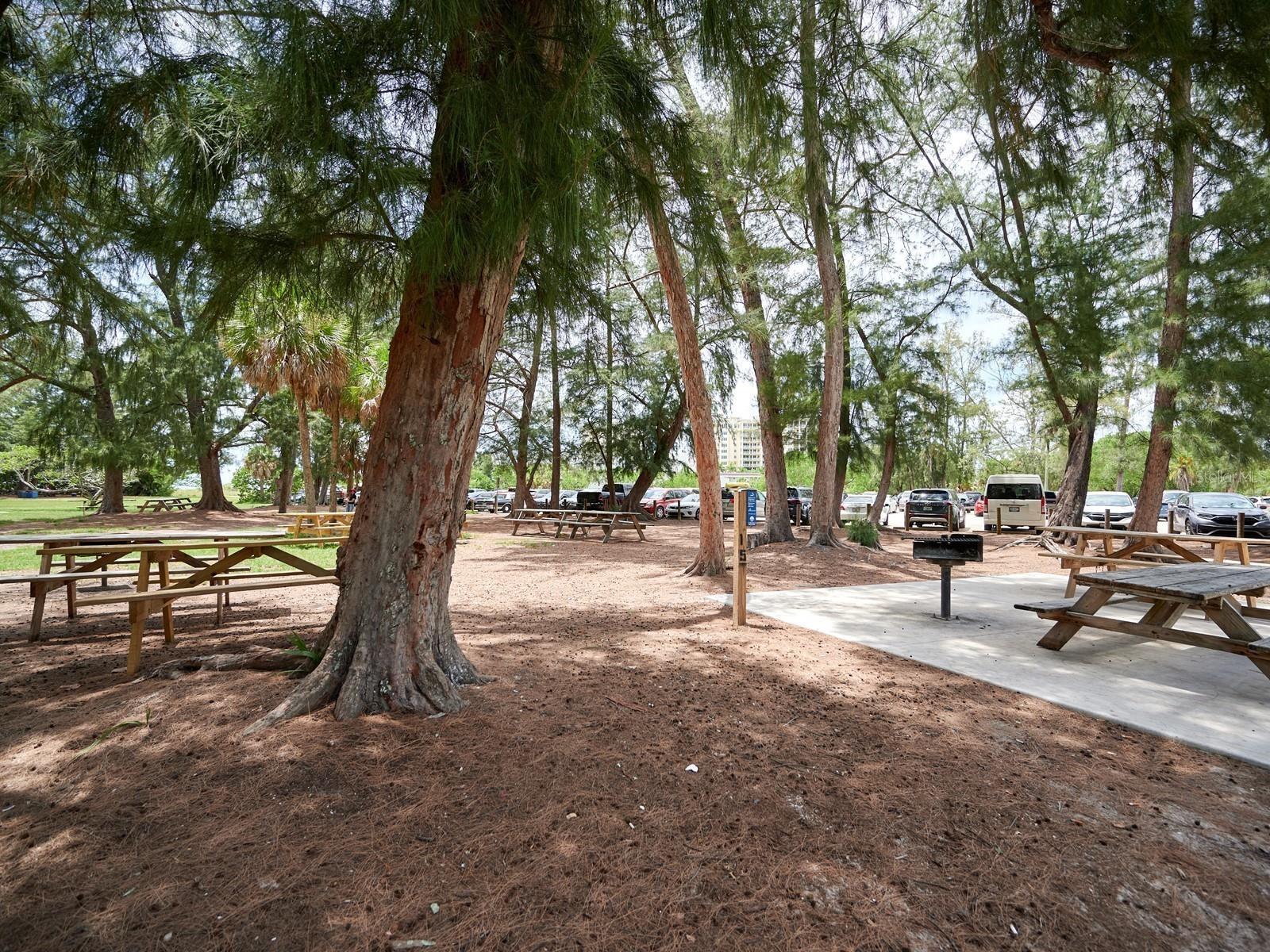 LIDO HARBOUR TOWERS - Residential