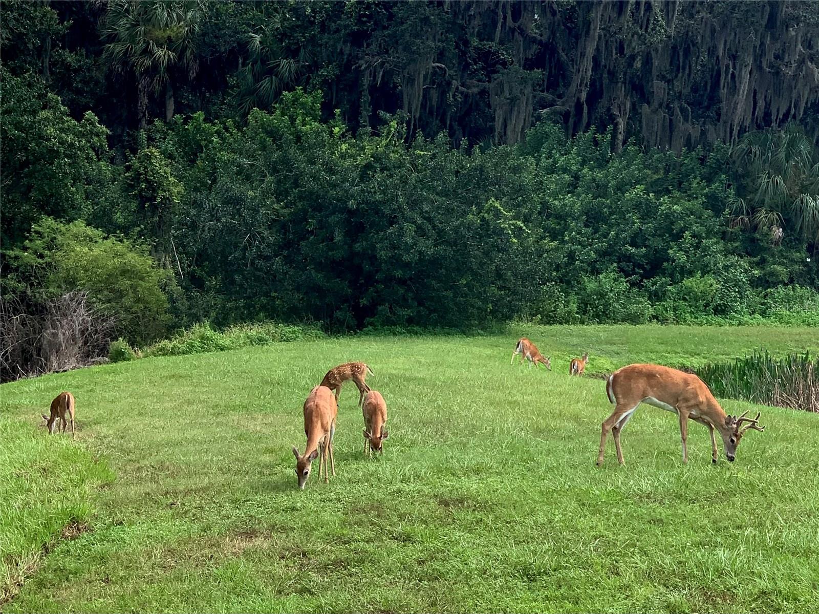 GREEYHAWK LANDING PHASE 3 - Residential