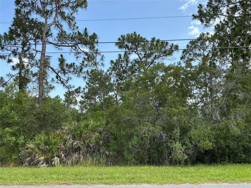 Photo of 21 Peabody Street, Orlando, FL 32833 (MLS # OM729881)