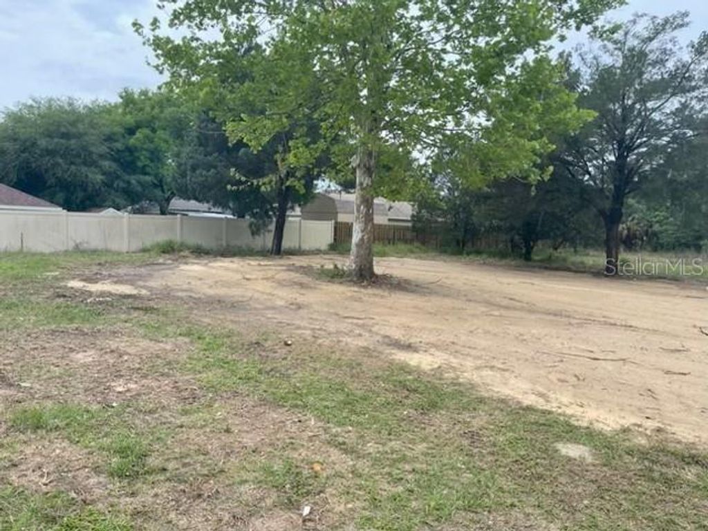 Photo of 2668 Orange Branch Road, Eustis, FL 32726 (MLS # O6402281)