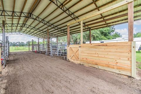 Tiny photo for 12148 Cr 774a, Webster, FL 33597 (MLS # W7877495)