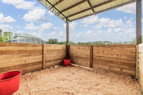 Tiny photo for 12148 Cr 774a, Webster, FL 33597 (MLS # W7877495)