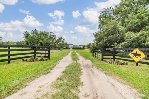 Tiny photo for 12148 Cr 774a, Webster, FL 33597 (MLS # W7877495)