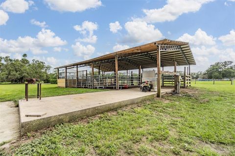 Tiny photo for 12148 Cr 774a, Webster, FL 33597 (MLS # W7877495)