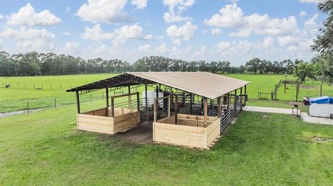 Tiny photo for 12148 Cr 774a, Webster, FL 33597 (MLS # W7877495)