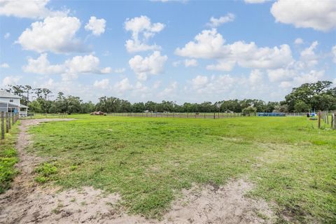 Tiny photo for 12148 Cr 774a, Webster, FL 33597 (MLS # W7877495)