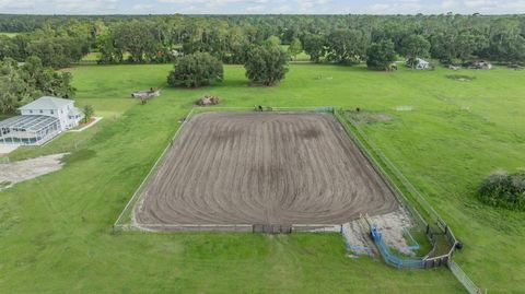 Tiny photo for 12148 Cr 774a, Webster, FL 33597 (MLS # W7877495)