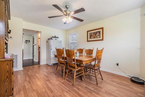 Tiny photo for 12148 Cr 774a, Webster, FL 33597 (MLS # W7877495)