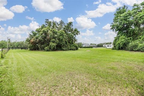 Tiny photo for 12148 Cr 774a, Webster, FL 33597 (MLS # W7877495)