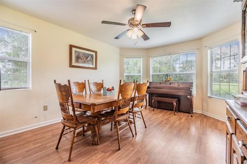 Tiny photo for 12148 Cr 774a, Webster, FL 33597 (MLS # W7877495)