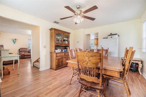 Tiny photo for 12148 Cr 774a, Webster, FL 33597 (MLS # W7877495)