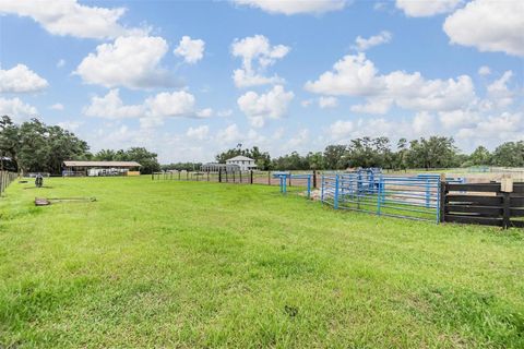 Tiny photo for 12148 Cr 774a, Webster, FL 33597 (MLS # W7877495)