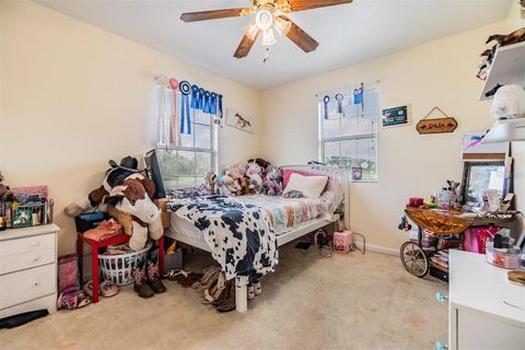 Tiny photo for 12148 Cr 774a, Webster, FL 33597 (MLS # W7877495)