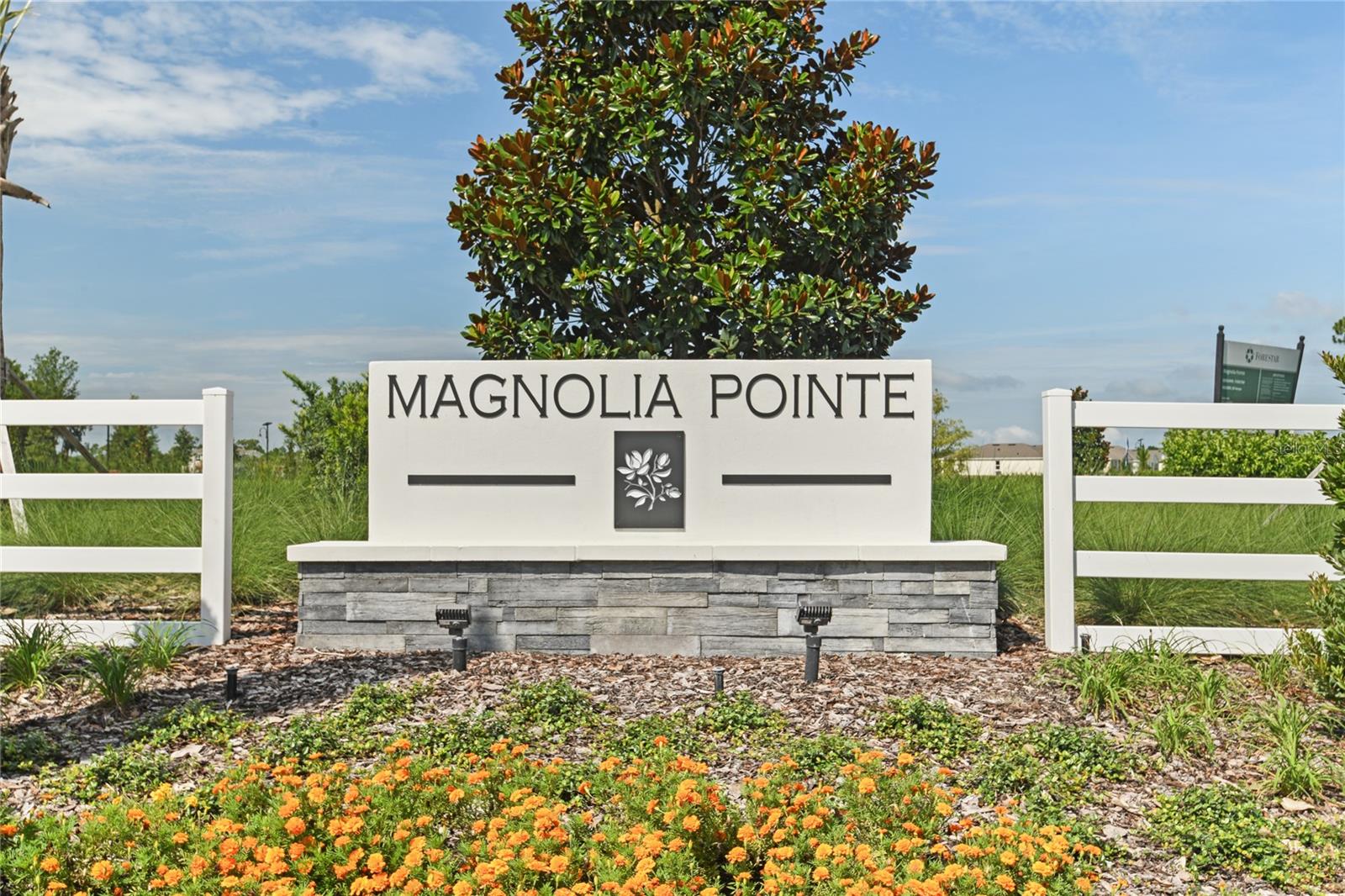 SEASONS AT MAGNOLIA POINTE - Residential