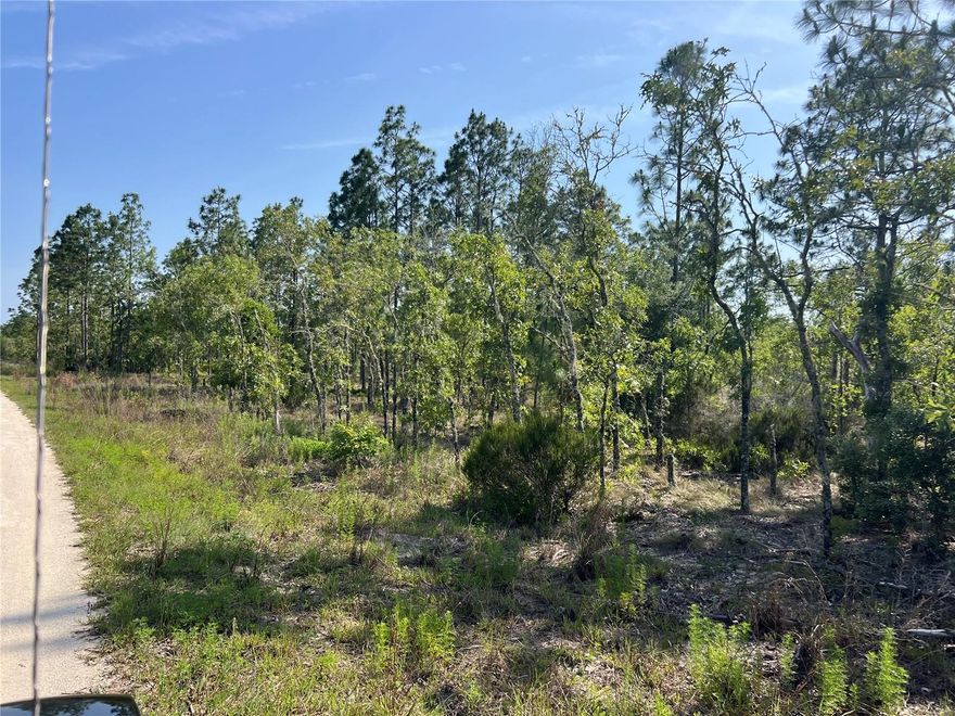 Build your dream home on this beautiful, high-and-dry lot nestled in the desirable Williston Highlands Community—where there’s no HOA to limit your vision! Enjoy the convenience of nearby power, making your building plans that easier. Surrounded by natural Florida beauty and just a short drive to town amenities, this is the perfect location for your future home or investment. Don’t miss this opportunity—land like this is getting harder to find!