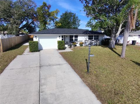 A home in PORT RICHEY