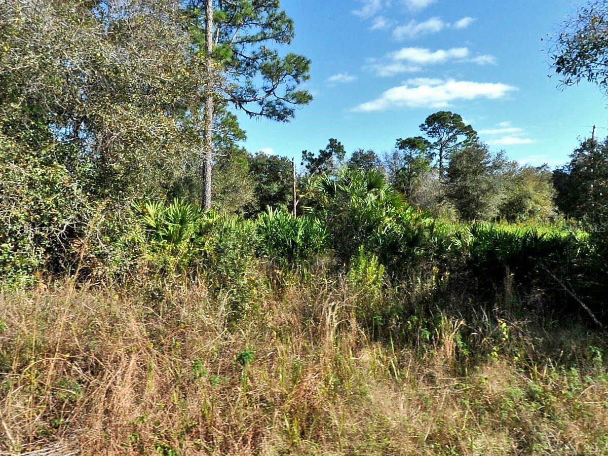 AAA location on the border of North Port and Port Charlotte right off of veterans Boulevard . Close proximity to I 75 and located within 30/35 minutes to Fort Myers and Sarasota. minutes to all shopping, dining ,multiple golf courses and historic beautiful downtown Punta Gorda . Attention to all people seeking a double lot 6 Also available for sale. Buy both to create an oversized double lot for your compound or dream home .Have preferred builder to build your dream home starting at 229900 for our Casita cottage with RV parking and 289900 for our coral reef model . Have preferred lender for lot loans and also fantastic programs for construction/perm loans if needed. Call for details.