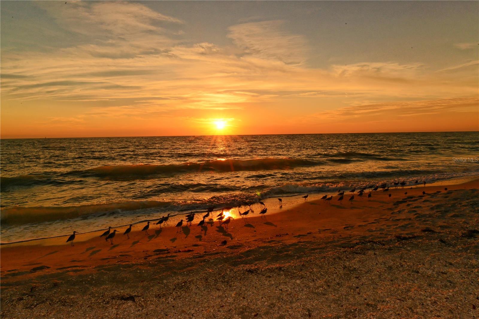BONAIRE AT LONGBOAT KEY - Residential
