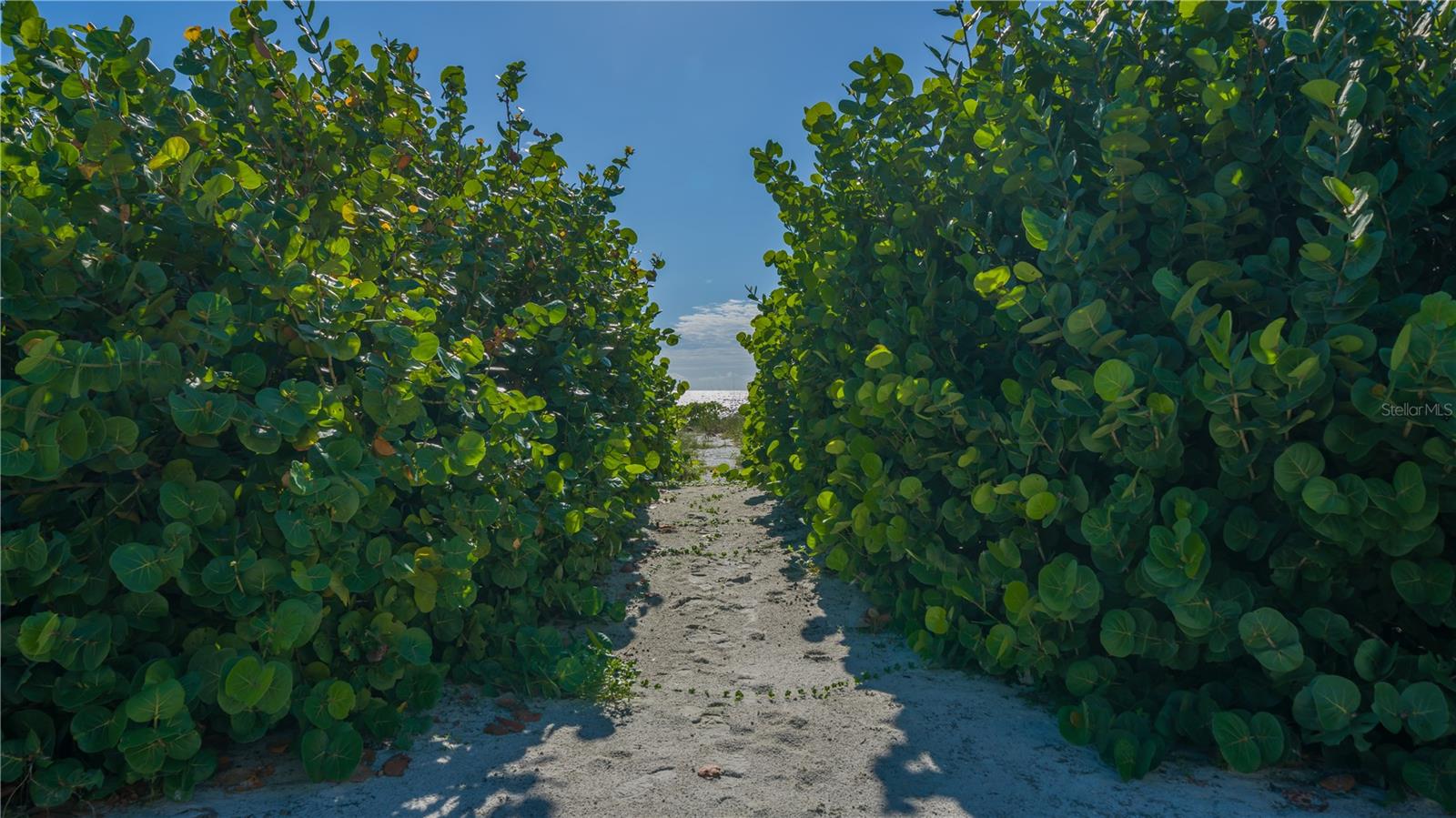 BONAIRE AT LONGBOAT KEY - Residential