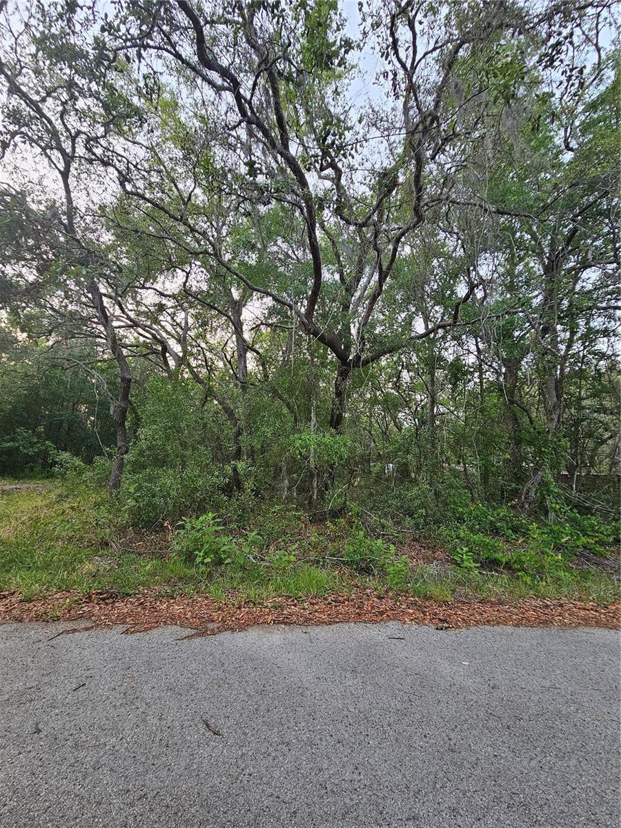 Welcome to your vacant land open canvas property at Moon Lake Estates! This plot of land residential land is available for you to use to build your dream home or to keep as an investment. This up and coming neighborhood of Moon Lake Estates boasts quiet roads and an amazing Moon Lake public Park, nestled on Moon Lake. This property is not located in a flood zone, so no flood insurance is required. Return to a quiet, more simple way of life with your new land purchase. With AR (agricultural-residential) zoning, this property has even more potential for development! The sellers for this plot are also selling multiple other plots of land in Moon Lakes Estates. Please inquire with your real estate agent or with the listing agent for more information. All statements in the listing are believed to be true and reliable by the seller and listing agent. Buyer and buyer's agent should verify all facts, statements, and measurements.