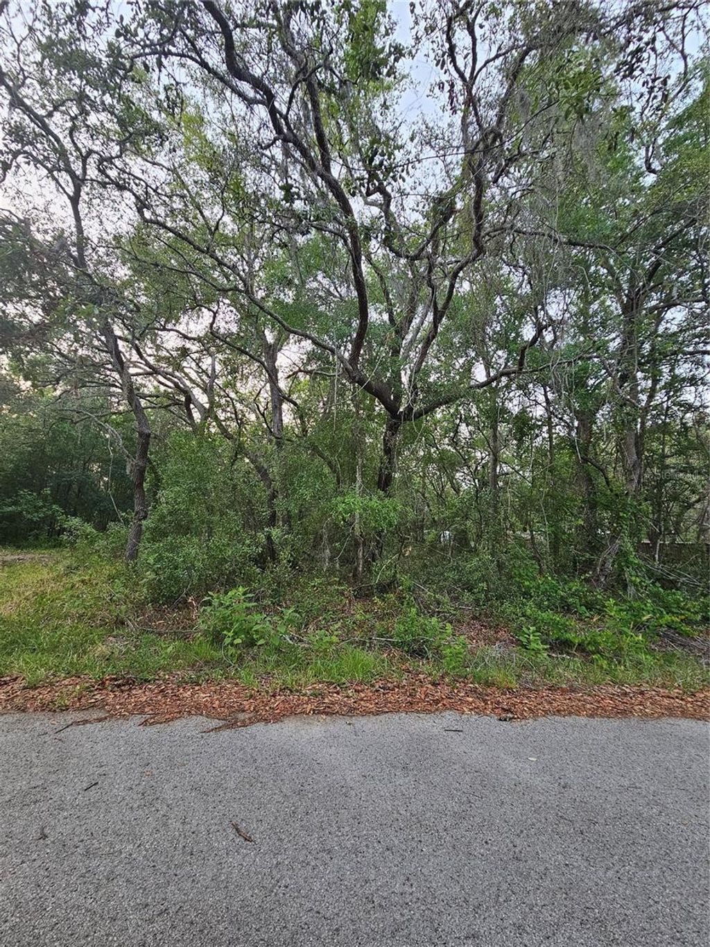 Photo of 00 Doaks Street, New Port Richey, FL 34654 (MLS # TB8383088)