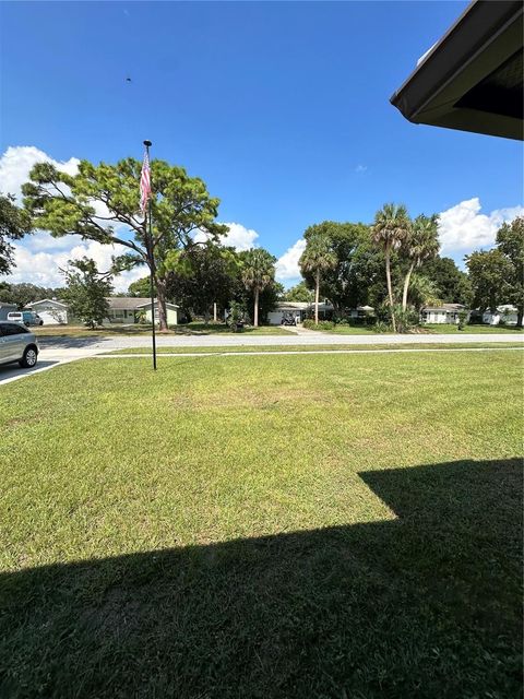 A home in MOUNT DORA