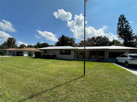 A home in MOUNT DORA