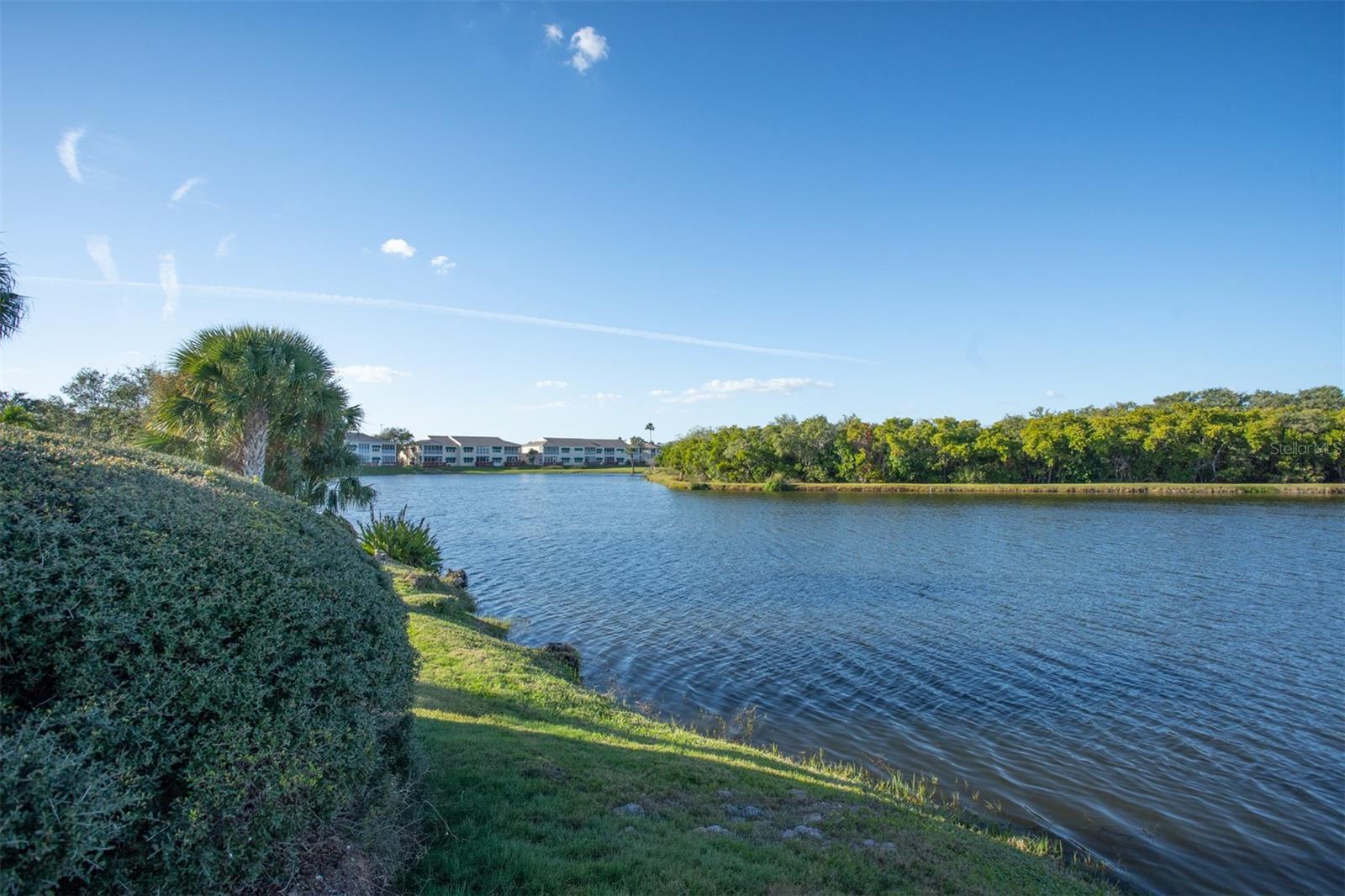 THE PALMS OF LONG BAYOU - Residential