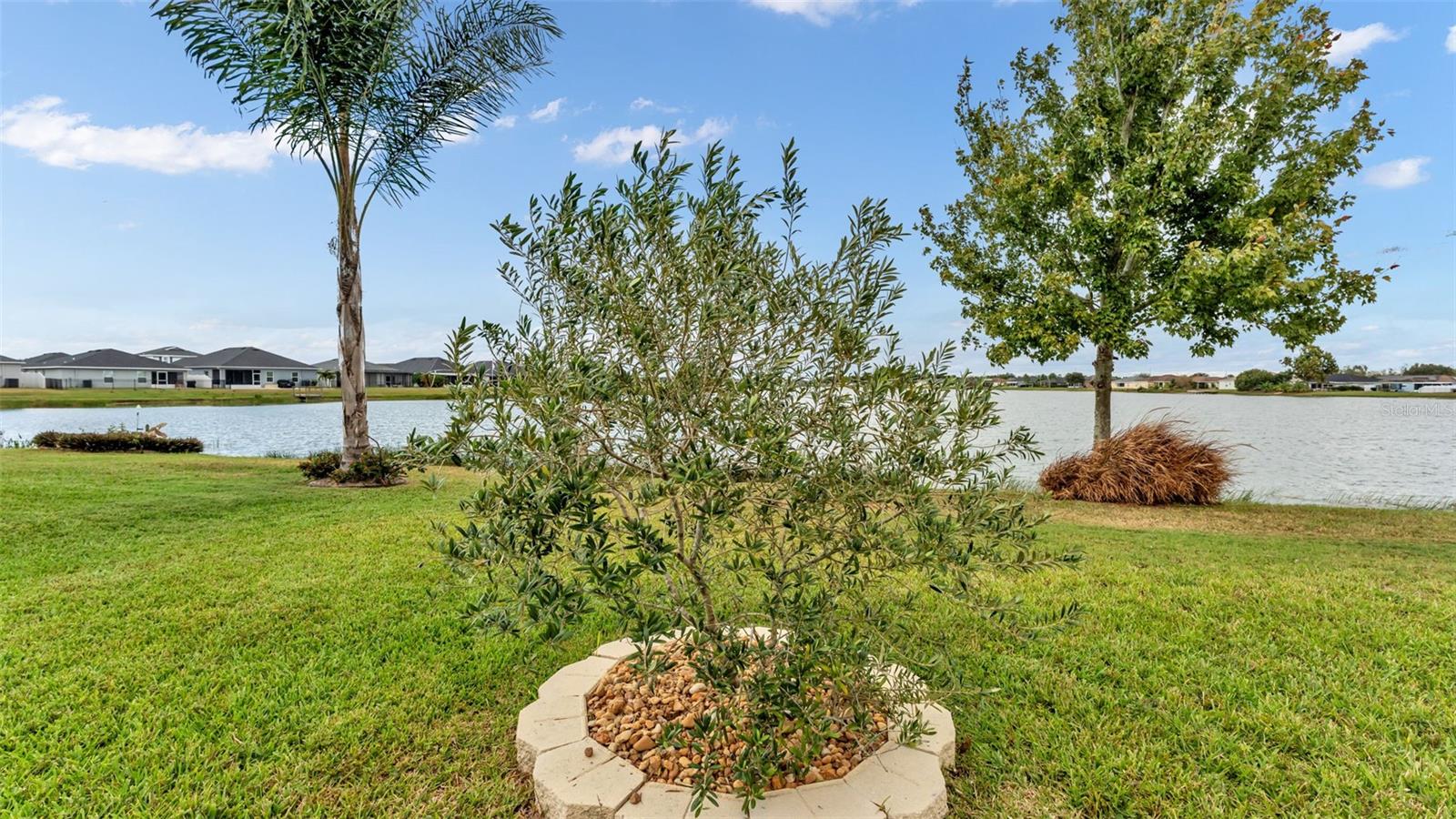 TOWNE PARK ESTATES PHASE 2A - Residential