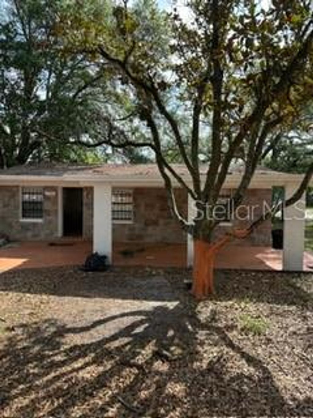 Photo of 7731 Udine Avenue, Orlando, FL 32819 (MLS # O6398980)