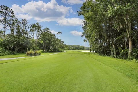 A home in TAMPA