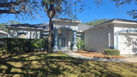 2116 GOLF MANOR BOULEVARD VALRICO FL 33596