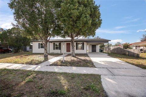 1619 BRADY DRIVE DELTONA FL 32725