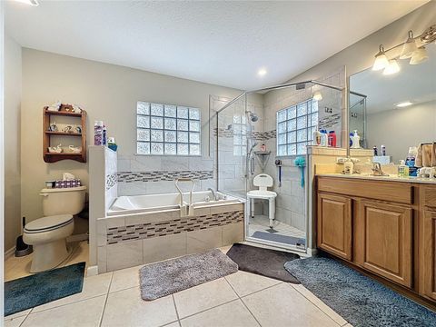 Tiny photo for 217 Compass Rose Drive, Groveland, FL 34736 (MLS # S5144874)