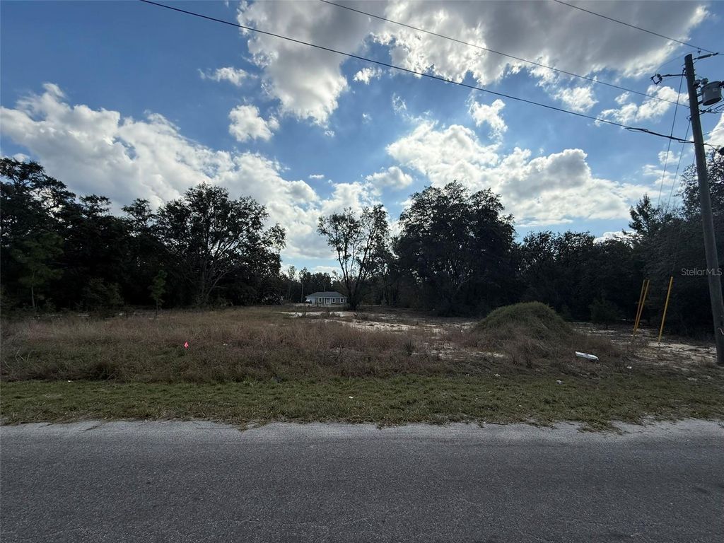 Photo of 26 Fisher Way Trail, Ocklawaha, FL 32179 (MLS # O6368730)