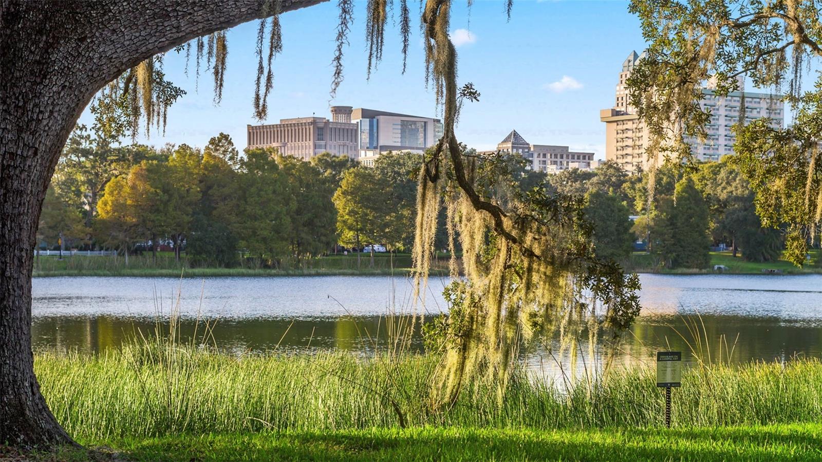 AVALON PARK VILLAGE 06 - Residential