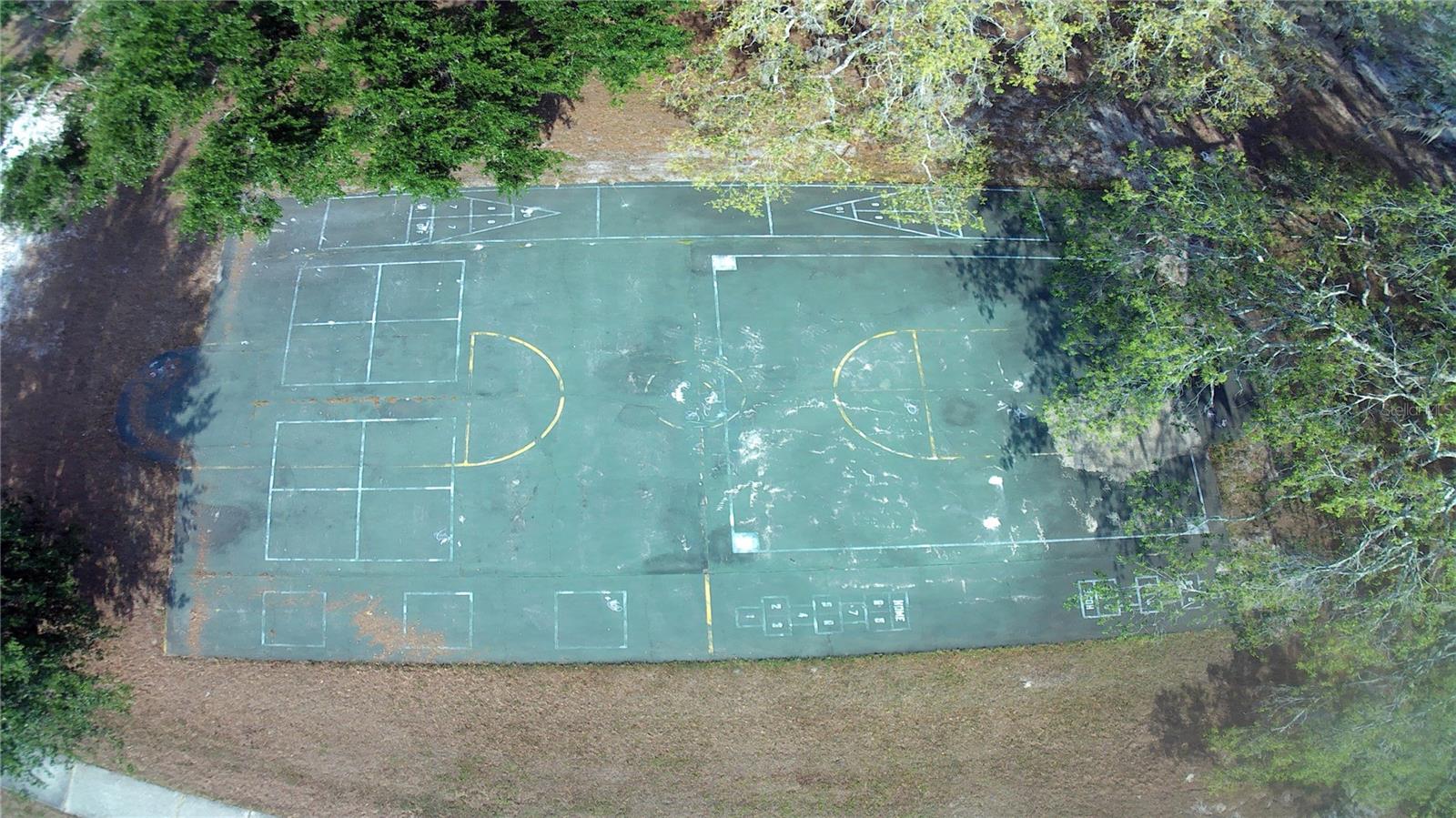 TEMPLE TERRACE ESTATES - Residential