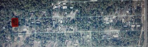 TBD NE NE 204TH LN FORT MC COY FL 32134