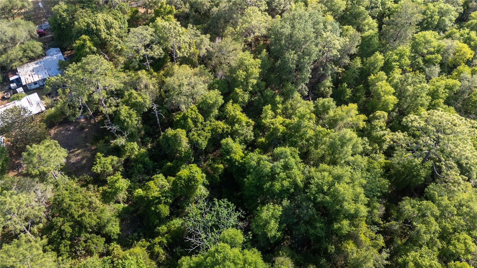 D-J CAMPSITE UNIT 1 - Land