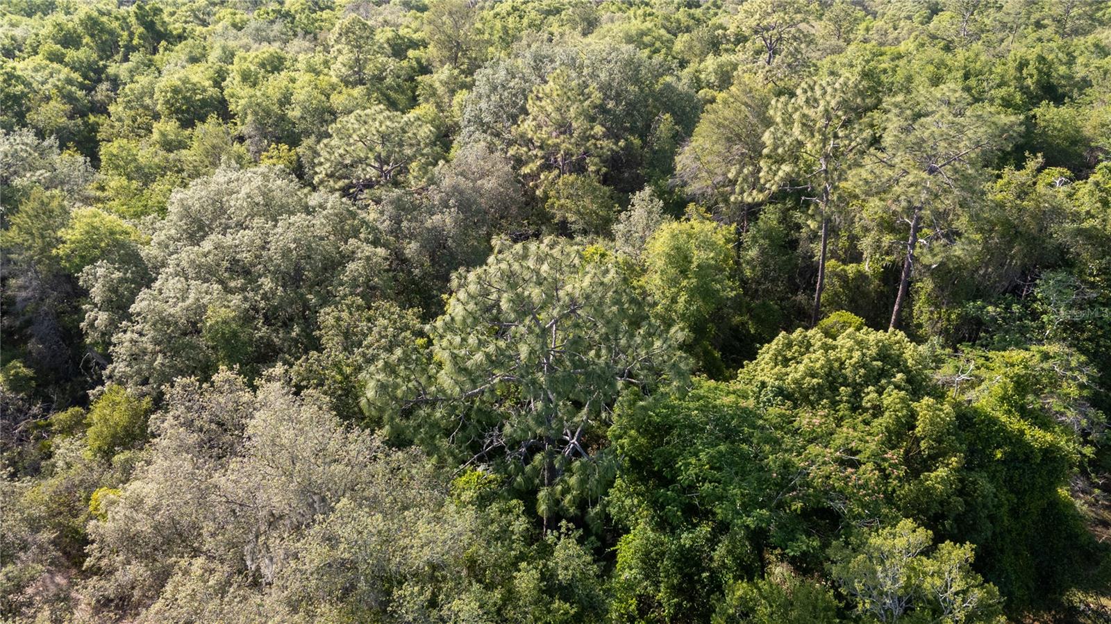 D-J CAMPSITE UNIT 1 - Land