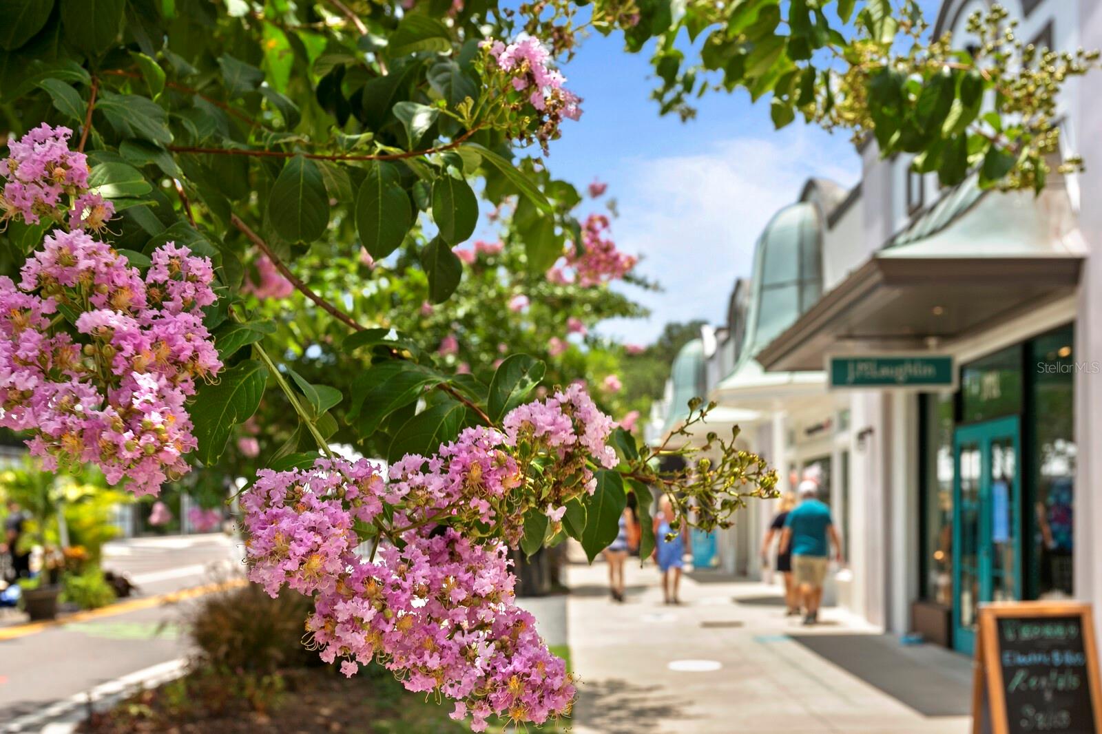 HYDE PARK WEST - Residential