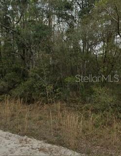 Build your custom dream home on a beautiful lot. Near Lake Lagonda, Lake Chipco, Lake Como, Lake Lucy, & Lovers Lake. Near Hawthorne, Keystone Heights, Palatka, & Ocala. Visit the farmers market or the blueberry plantation nearby for fresh fruit and vegetables. Near Alligator Kingdom, Camp Declan, Rooterville Animal Sanctuary, near Amelia River, & Fernandina Beach. Responsibility of buyer to determine presence of protected species & utilities. Build your custom dream home on a beautiful lot. Near Lake Lagonda, Lake Chipco, Lake Como, Lake Lucy, & Lovers Lake. Near Hawthorne, Keystone Heights, Palatka, & Ocala. Visit the farmers market or the blueberry plantation nearby for fresh fruit and vegetables. Near Alligator Kingdom, Camp Declan, Rooterville Animal Sanctuary, near Amelia River, & Fernandina Beach. Responsibility of buyer to determine presence of protected species & utilities.