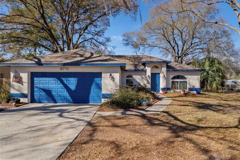 3771 PARKWAY BOULEVARD LAND O LAKES FL 34639