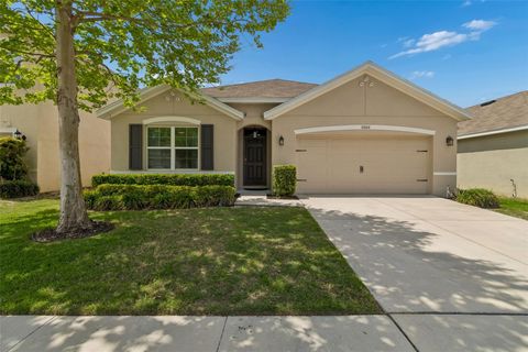 Photo of 10004 Warm Stone Street, Thonotosassa, FL 33592 (MLS # TB8494886)