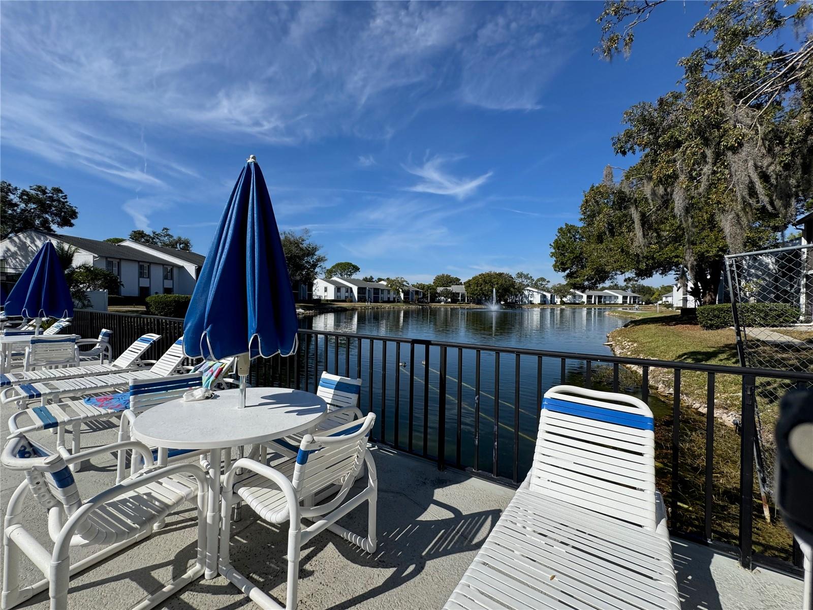 PINE RIDGE AT LAKE TARPON VILLAGE - Residential Lease