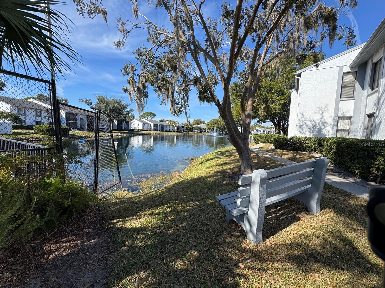 PINE RIDGE AT LAKE TARPON VILLAGE - Residential Lease