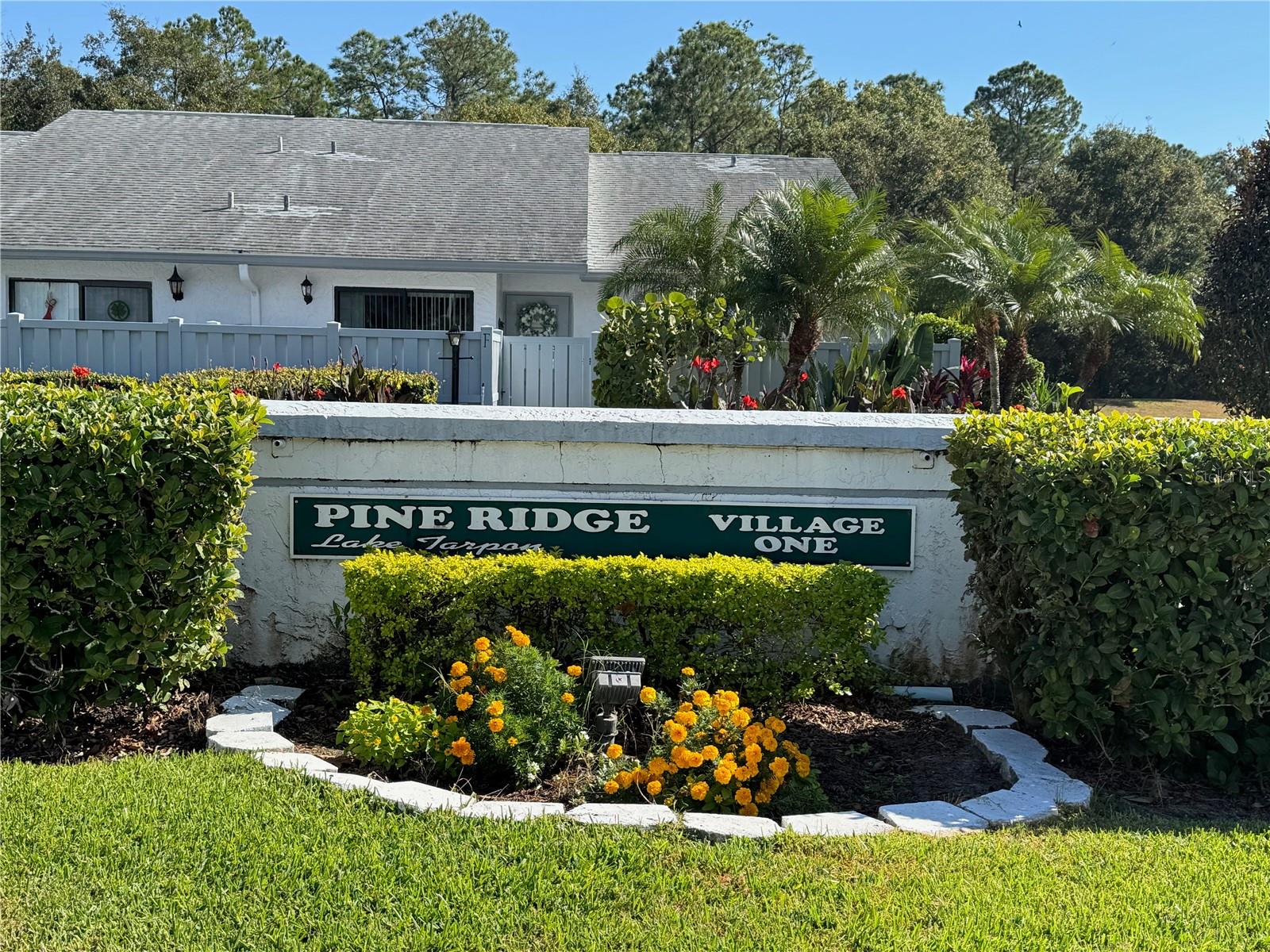 PINE RIDGE AT LAKE TARPON VILLAGE - Residential Lease