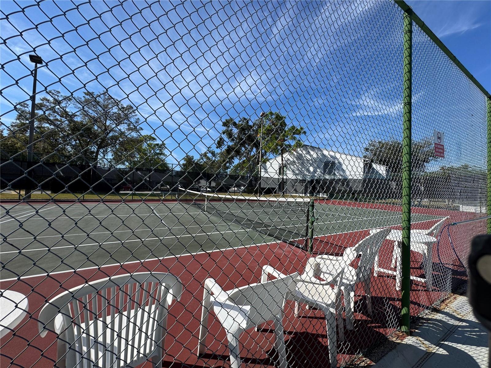 PINE RIDGE AT LAKE TARPON VILLAGE - Residential Lease