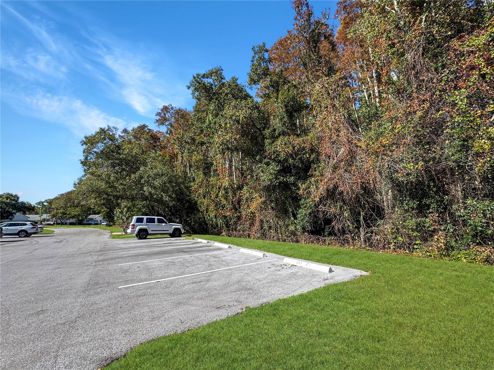 PINE RIDGE AT LAKE TARPON VILLAGE - Residential Lease