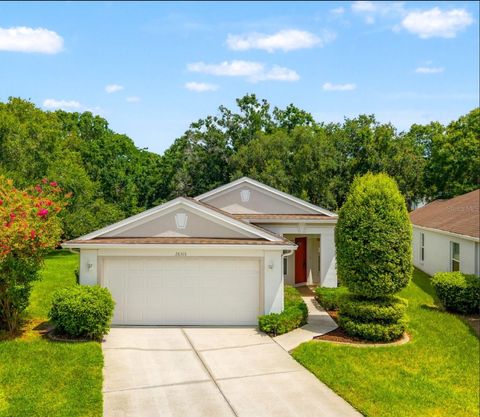 Photo of 26315 Whirlaway Terrace, Wesley Chapel, FL 33544 (MLS # TB8407663)